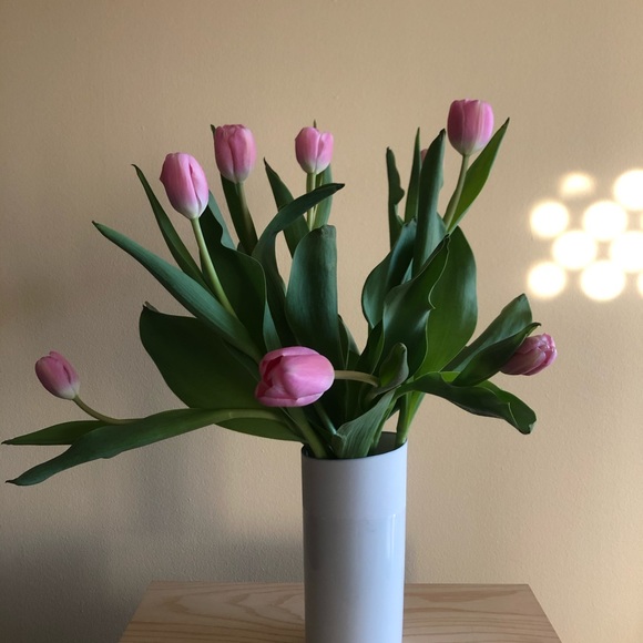 Meet your Posher, Caro - Picture 1 of 1